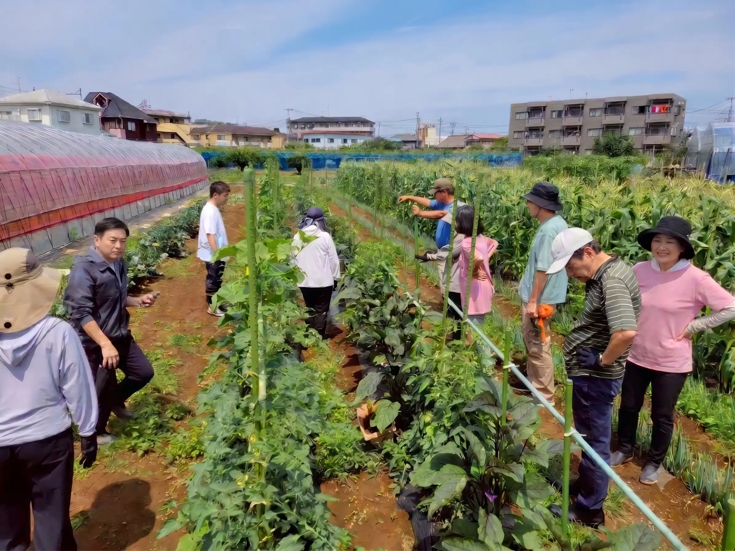 松本ファーム 体験農園の様子